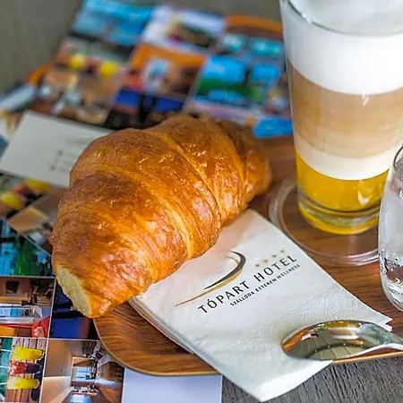 Topart Hotel 4*