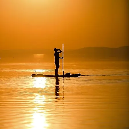 Topart Balatonvilágos